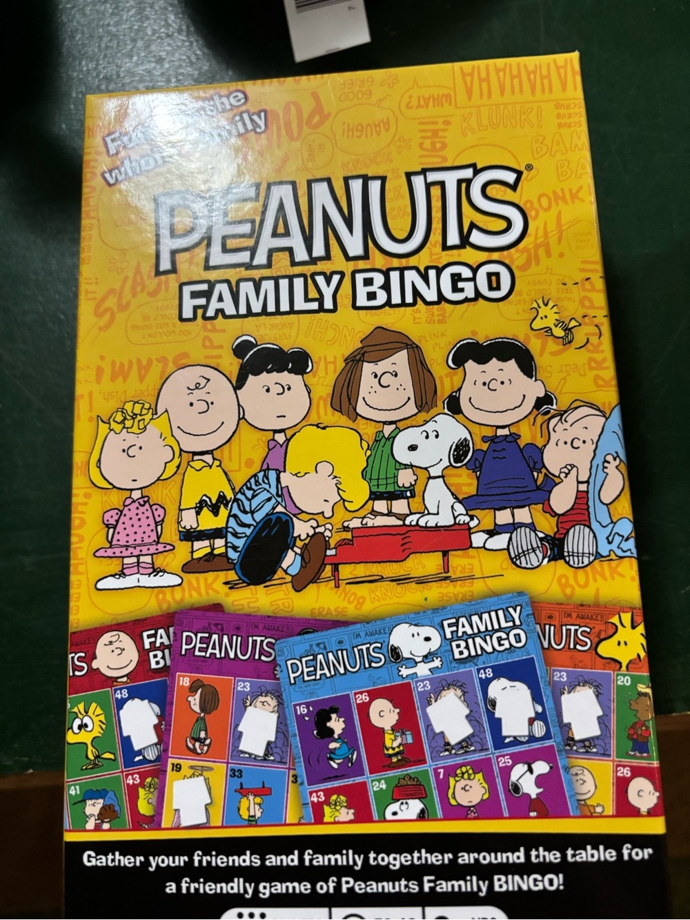 Peanuts Family Bingo -